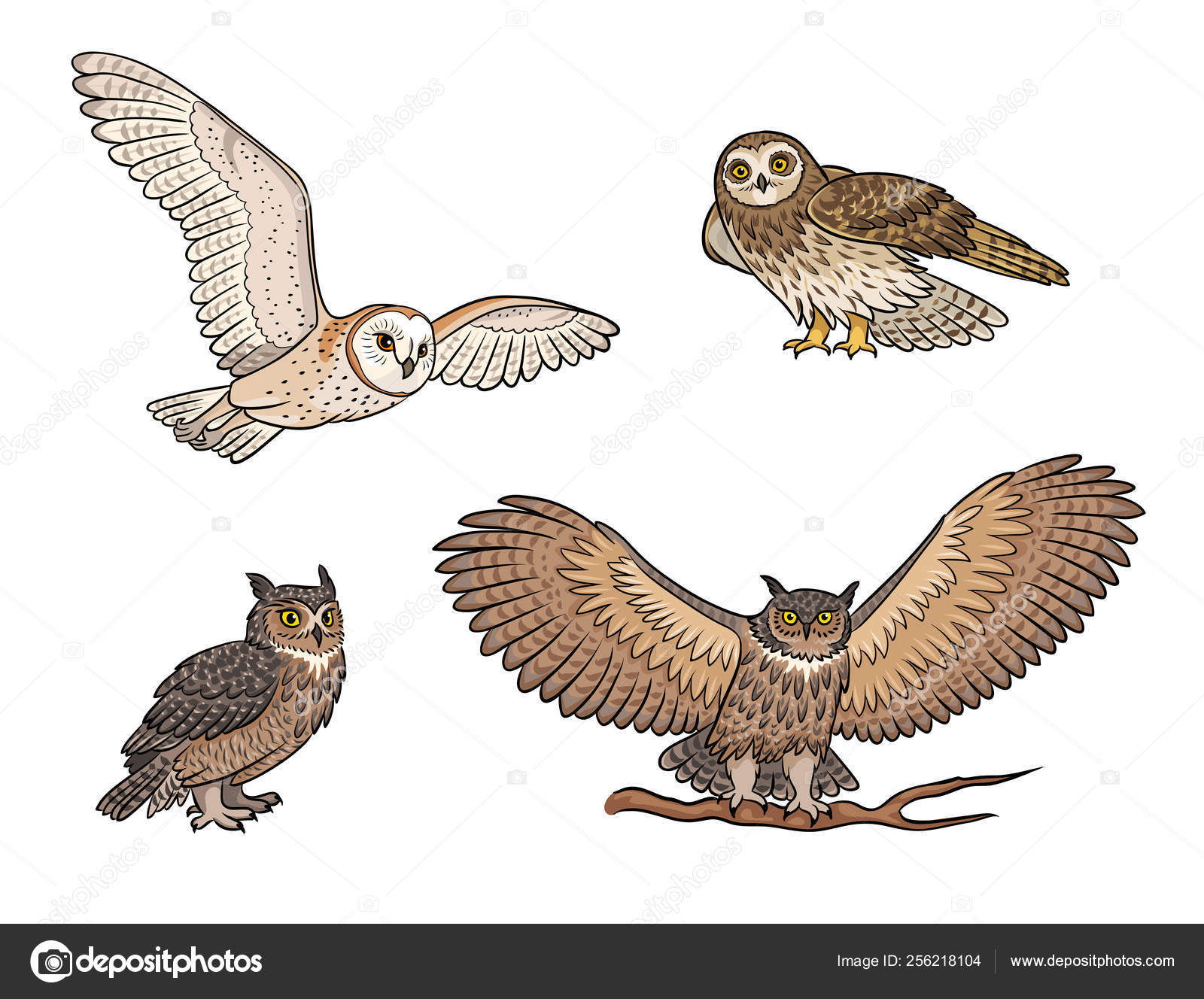 ポートフォリオ Rosinka ストック写真 イラストとベクターアート Depositphotos