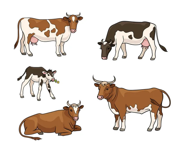 Set van verschillende koeien-vector illustratie — Stockvector