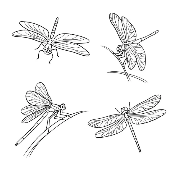 Ensemble de différentes libellules dans les contours illustration vectorielle — Image vectorielle