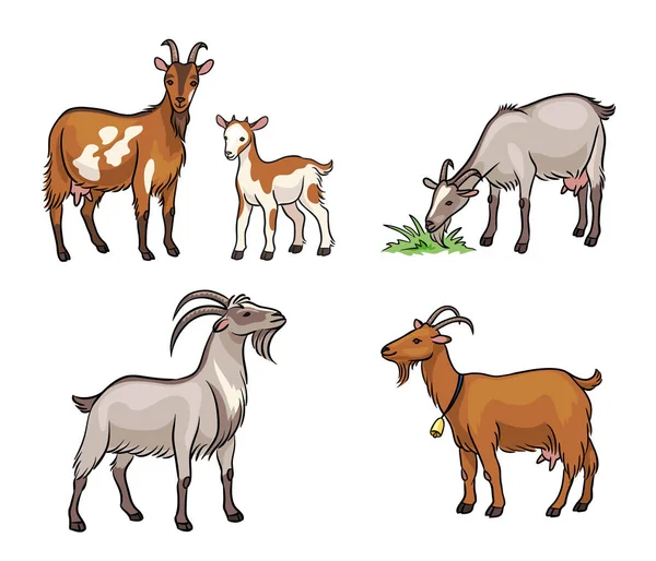 Set of different goats  - vector illustration — Stock Vector