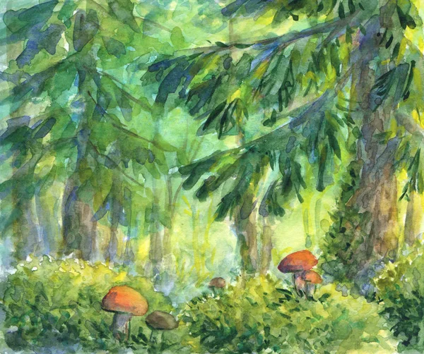 Forest watercolour landscape with mushrooms — Stock Photo, Image