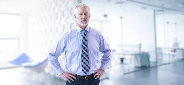 Retrato Hombre Negocios Sénior Frente Oficina Moderna — Foto de Stock