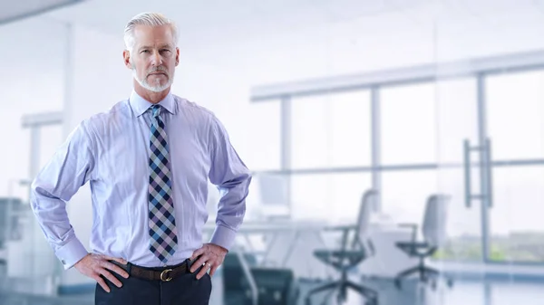 Retrato Empresário Sênior Frente Seu Escritório Moderno — Fotografia de Stock