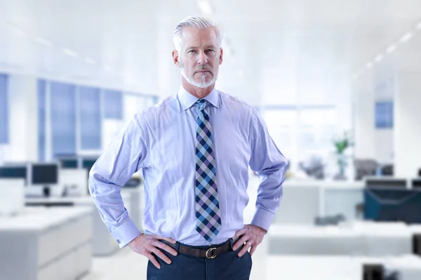 Retrato Hombre Negocios Sénior Frente Oficina Moderna —  Fotos de Stock