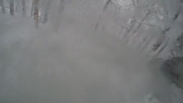 Gopro Monte Pecho Esquiador Extremo Esquí Forestal Polvo Fresco Nieve — Vídeo de stock