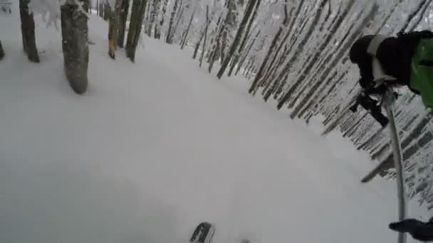冬の新雪パウダー スキーの森で極端な Gopro 胸の山スキーヤー — ストック動画