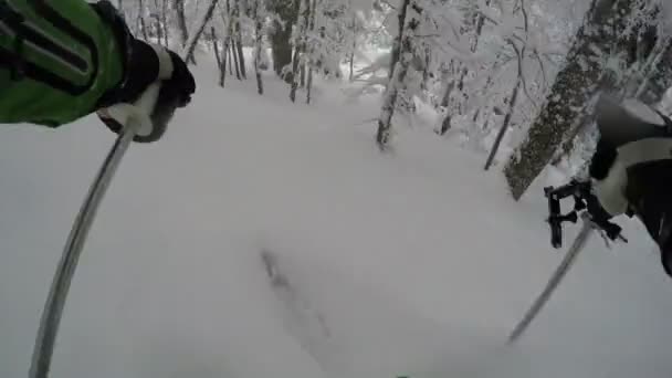 Gopro Monte Pecho Esquiador Extremo Esquí Forestal Polvo Fresco Nieve — Vídeos de Stock