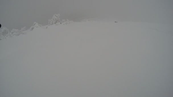 冬の新雪パウダー スキーの森で極端な Gopro 胸の山スキーヤー — ストック動画