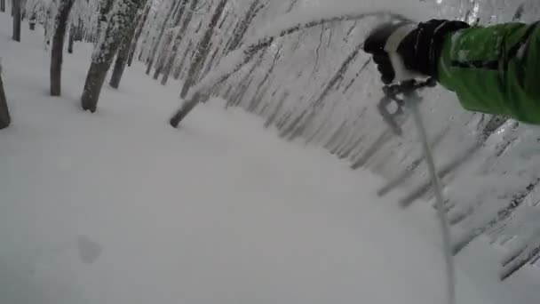 Gopro Borst Mount Skiër Extreme Bos Skiën Verse Poeder Sneeuw — Stockvideo