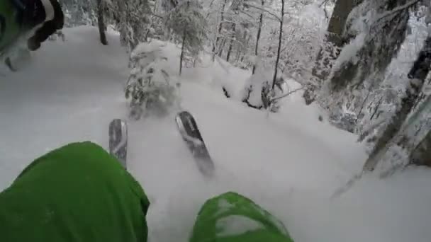 Gopro Monte Pecho Esquiador Extremo Esquí Forestal Polvo Fresco Nieve — Vídeos de Stock