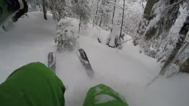 Gopro Klatki Piersiowej Mount Narciarz Ekstremalnych Lesie Zimie Nartach Świeżego — Wideo stockowe