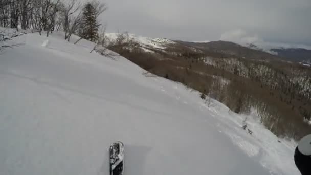 Gopro Chest Mount Skier Extreme Forest Skiing Fresh Powder Snow