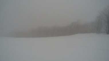 GoPro göğüs Dağı kayakçı ekstrem ormandaki taze kar kar kış kayak