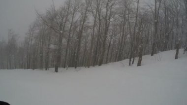 GoPro göğüs Dağı kayakçı ekstrem ormandaki taze kar kar kış kayak