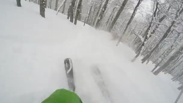 Gopro Petto Monte Sciatore Estremo Nella Foresta Sci Sulla Neve — Video Stock