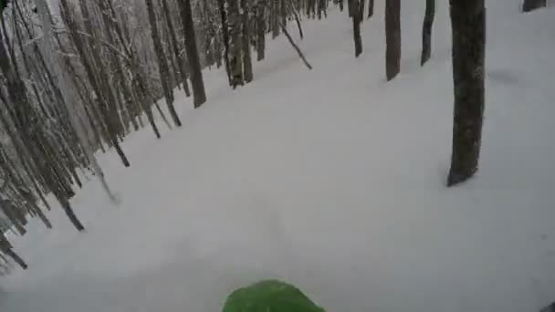 Gopro Brust Mounting Skifahrer Extrem Wald Skifahren Auf Frischem Pulverschnee — Stockvideo