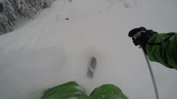 Gopro Monte Pecho Esquiador Extremo Esquí Forestal Polvo Fresco Nieve — Vídeos de Stock