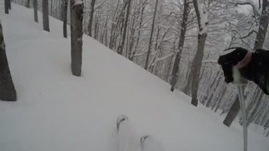 GoPro göğüs Dağı kayakçı ekstrem ormandaki taze kar kar kış kayak