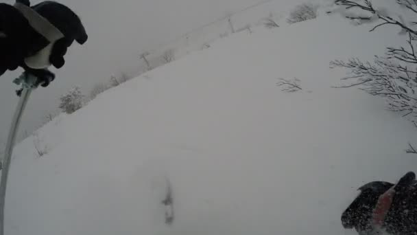 Gopro 胸架滑雪运动员冬季新鲜粉雪的森林滑雪极限 — 图库视频影像