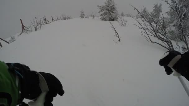 Gopro Monte Pecho Esquiador Extremo Esquí Forestal Polvo Fresco Nieve — Vídeos de Stock