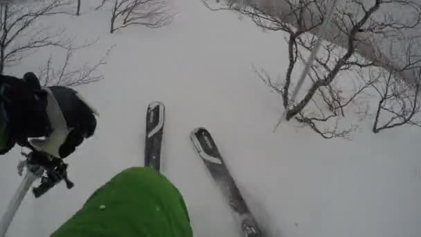 Gopro Monte Pecho Esquiador Extremo Esquí Forestal Polvo Fresco Nieve — Vídeo de stock