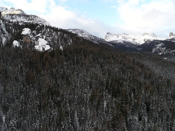 无人驾驶飞机在寒冷的冬日清晨飞越松树林 背景为日落和阿尔卑斯山山脉 — 图库照片