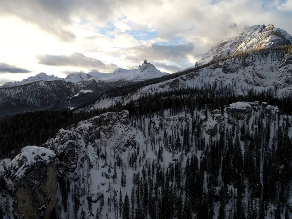 Drone Volando Sobre Bosque Pinos Fría Mañana Invierno Con Puesta — Foto de Stock