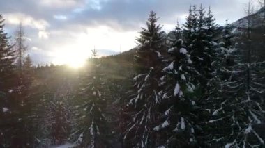 Alplerdeki üstten görünüm kötü hava üzerinde uçan uçak kış günü