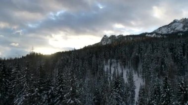 Alplerdeki üstten görünüm kötü hava üzerinde uçan uçak kış günü
