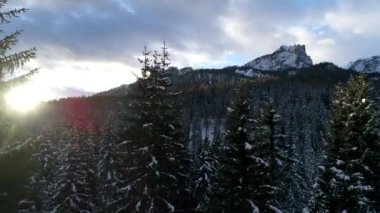 Alplerdeki üstten görünüm kötü hava üzerinde uçan uçak kış günü