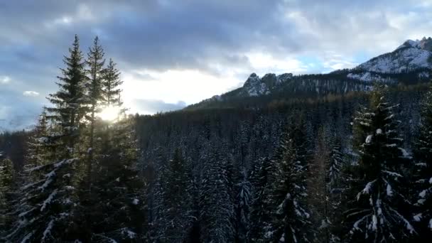 Drone Flying Pohled Shora Alp Špatné Počasí Zimní Den — Stock video