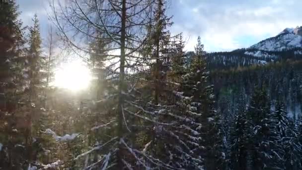 Drone Vliegen Bovenaanzicht Van Alpen Slecht Weer Winterdag — Stockvideo