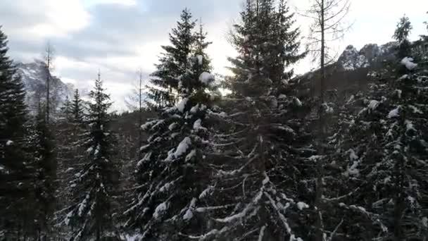 Drone Che Vola Vista Dall Alto Delle Alpi Nella Giornata — Video Stock