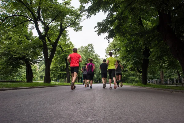 Grupp Friska Människor Jogging Stadsparken Löpare Laget Morgonen Utbildning — Stockfoto