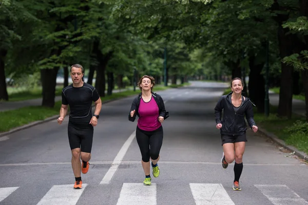 Gruppo Persone Sane Che Fanno Jogging Nel Parco Cittadino Squadra — Foto Stock