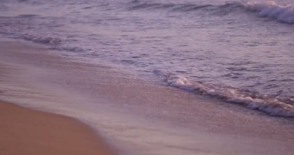 Lugna Naturen Scen Stranden Vågor Soluppgången Sommarmorgon Slow Motion — Stockvideo