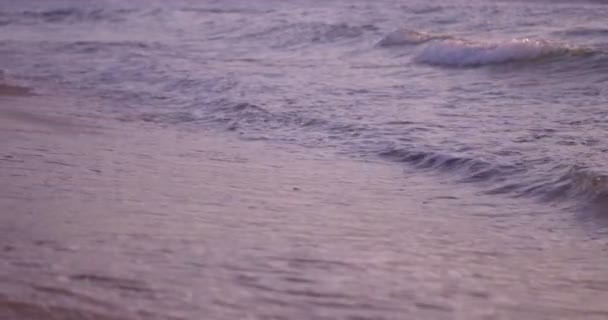 Lugna Naturen Scen Stranden Vågor Soluppgången Sommarmorgon Slow Motion — Stockvideo