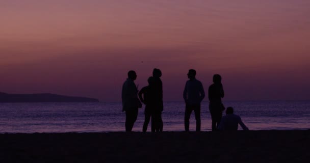 Grupo Silueta Cámara Lenta Los Jóvenes Después Fiesta Playa Hermosa — Vídeo de stock