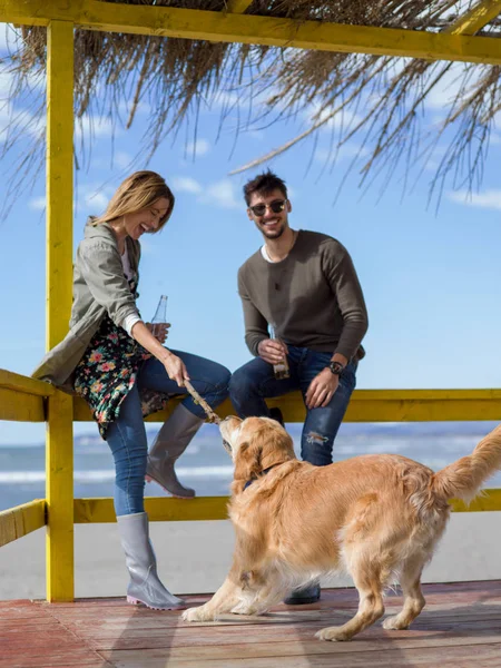 犬とカップル秋の間に空のビーチバーで一緒にビールを飲む — ストック写真