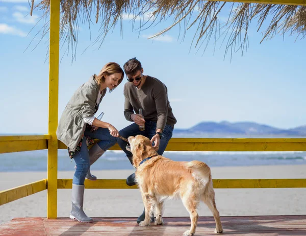 Paar Mit Hund Trinkt Herbst Gemeinsam Bier Leerer Strandbar — Stockfoto