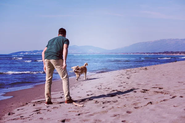 Homem Com Cão Desfrutando Tempo Livre Praia Filtro Dia Outono — Fotografia de Stock