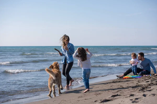 Szczęśliwa Młoda Rodzina Dziećmi Bawiących Się Psem Latawcem Plaży Jesienny — Zdjęcie stockowe