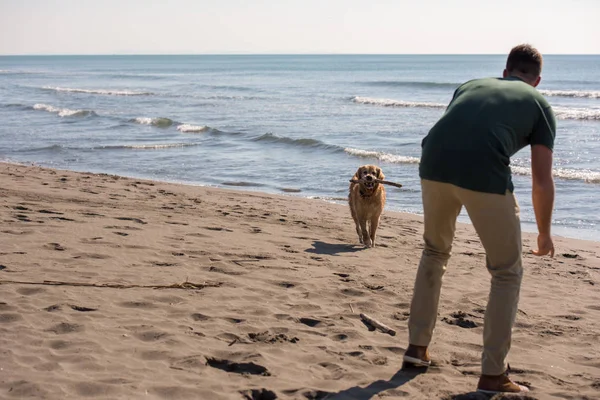 Homem Com Cão Desfrutando Tempo Livre Praia Dia Outono — Fotografia de Stock