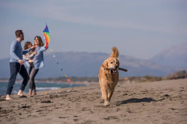 Feliz Familia Joven Con Niños Divirtiéndose Con Perro Cometa Playa —  Fotos de Stock