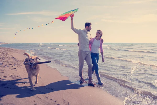 若いカップルが楽しんで犬 秋の日にビーチにカイトで遊んで — ストック写真