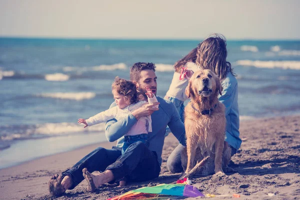 秋の日のフィルターの間にビーチで犬と凧で楽しんでいる子供たちと幸せな若い家族 — ストック写真