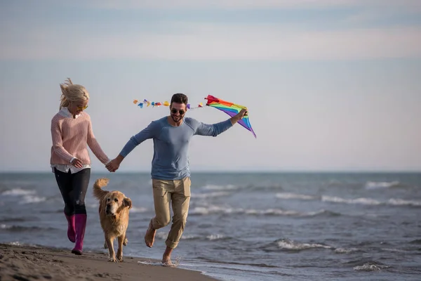 재미는 강아지와 해변가 — 스톡 사진
