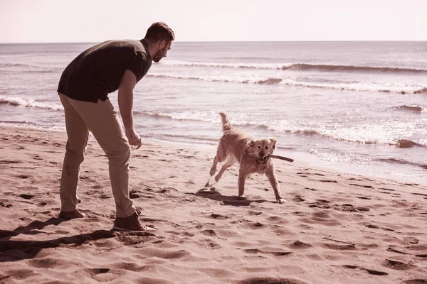 Чоловік Собакою Насолоджується Вільним Часом Пляжі Осінній День Фільтр — стокове фото