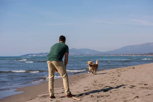 Uomo Con Cane Godendo Del Tempo Libero Spiaggia Durante Giornata — Foto Stock