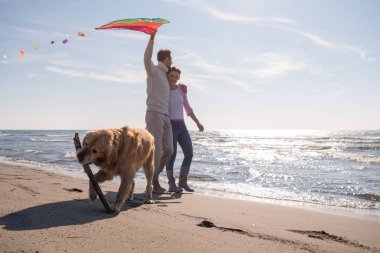 Genç çift eğlenmek bir köpek ve sonbahar günü plaj uçurtma ile oynarken